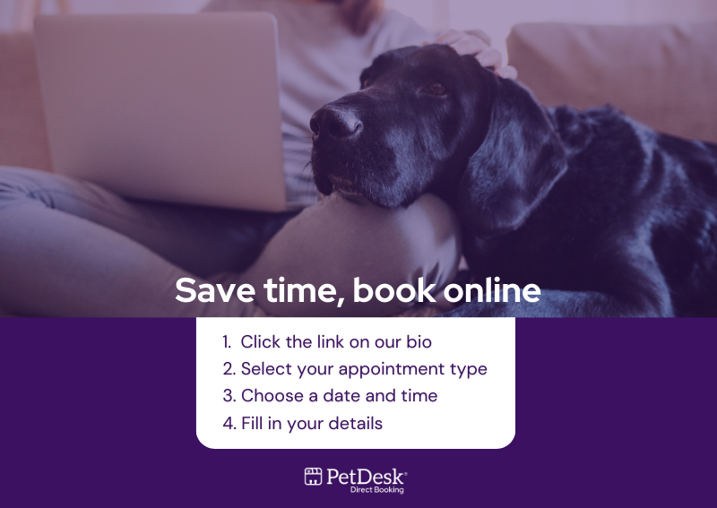 Book an Appointment at Southeast Georgia Veterinary Clinic